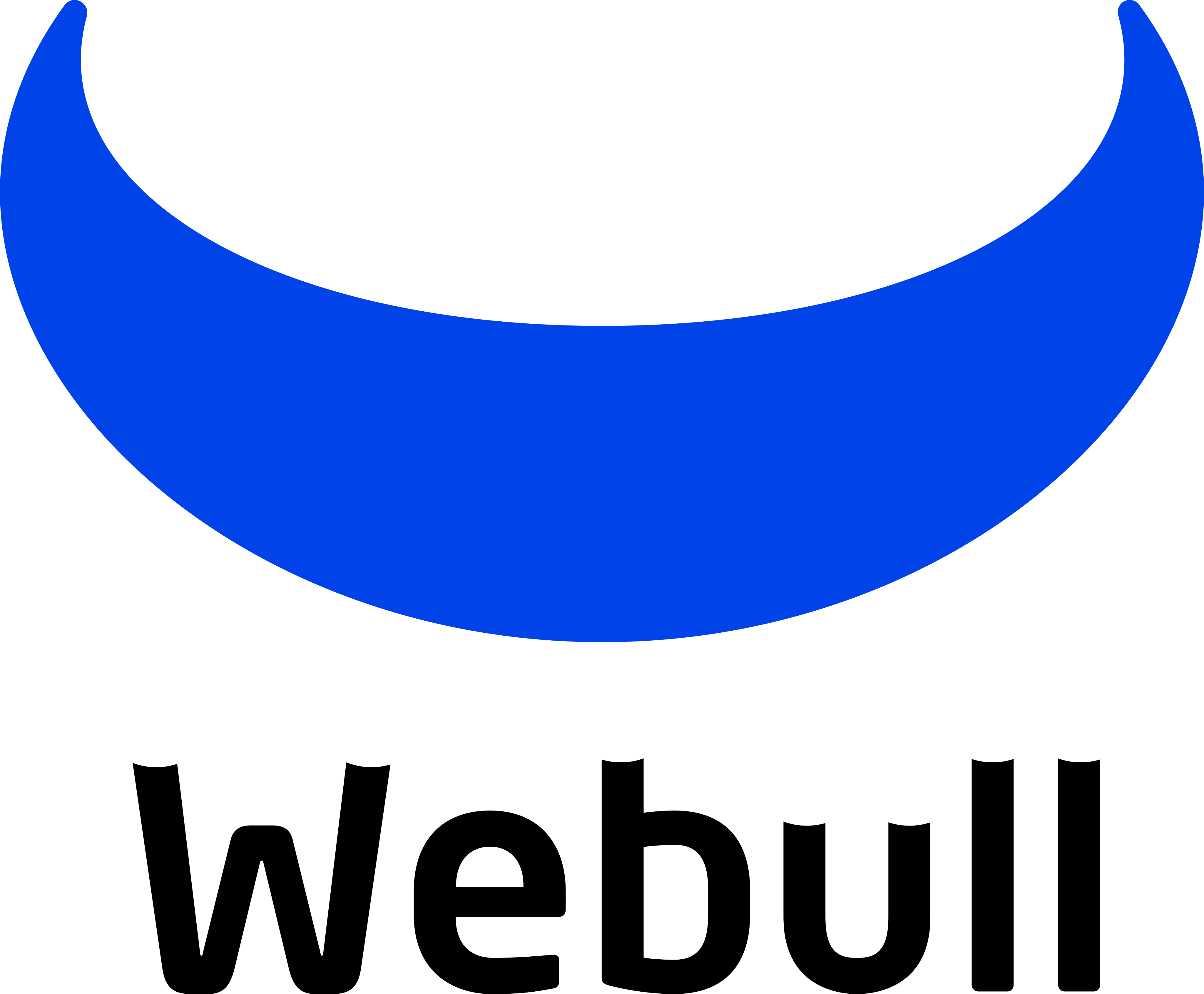 Webull portfolio tracker